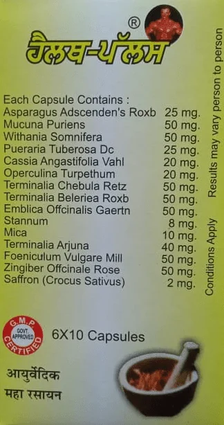 Health Plus Ayurvedic Capsules ( 240 Capsules ) 4 Month Course - Image 2